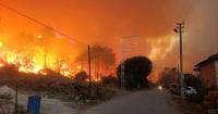 Antalya fire: Huge wildfires rip through Turkey as parts of city evacuated
