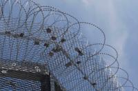 Are the Ulm5 on Trial – or German Politics and Justice?