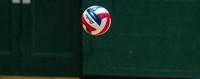 D2 GIRLS VOLLEYBALL: Delaware Valley advances to Class 6A semifinals