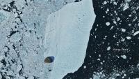 Greenland’s Wayward Ice Island Just Smashed Into Joe Island—and Survived
