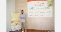 "Foreign competition is pushing Italian grapes to the end of the season"