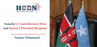 Somalia’s Centralization Drive and Kenya’s Potential Response