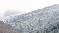 Polar wave covers Sierra de la Ventana with snow: Antarctic phenomenon transforms the landscape in Buenos Aires