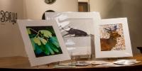 From 4-H to international exhibits: Morningside University professor named Iowa Artist Fellow