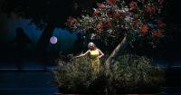 Top classical music events in the Greater Seattle area in fall 2026