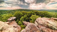 Judge halts Illinois logging plan after Forest Service approved cuts without endagnered species review