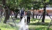 Seoul mosquito surge makes September the worst month for bites
