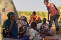 UN investigators find evidence of UAE links to Sudan war