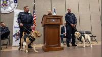 'Remarkable' noses — new dogs in Utah corrections program can search for electronics