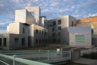 UI, University of Chicago collaborate on nanodiamond sensor research