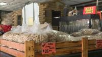 Extreme heat impacts Alabama farmers market attendance and operations