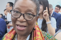 Namibian ambassador: We can learn from China's experience