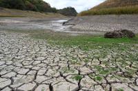El Niño Drought Could Leave 16 Million Without Enough Food in Latin America