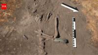 A 5,000-year-old Polish burial held a necklace made from 42 animal teeth and two human skulls