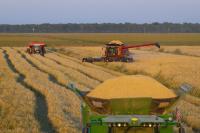 Global food system faces mounting resilience crisis