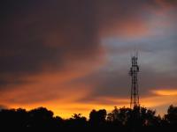 Why Is News Corporation (ASX:NWS) Reshaping Its Digital Media Network?