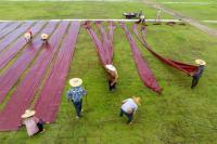 China Targets Global Brands From Silk, Tea
