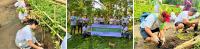 LANDBANK employees extend volunteer service nationwide for communities, environment
