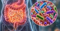 Can Your Gut Bacteria Spread to Other People? Scientists Say Microbiome May Be Contagious