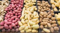 For Crispy Belgian-Inspired Fries, Reach For These Potatoes