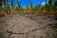 Hungary Records Driest & 2nd Hottest Summer in Over 120 Years