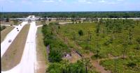 Charlotte County to consider plans for Southwest Florida's first Buc-ee's