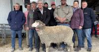 Buyers raise sights at SWM's annual ram sale for huge lift in sale average