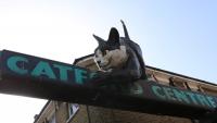 Transport, housing and a facelift for the cat - Catford's regeneration plan has had a redesign