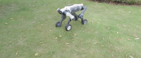 Chinese Robot Dog DEEP Robotics Lynx M20 Takes on Red Sand and Steep Slopes in Extreme Desert Adventure