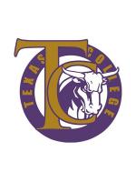 Arkansas Baptist rallies past Texas College, 30-19