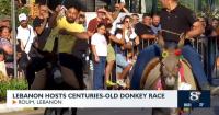 Lebanon Hosts Centuries-Old Donkey Race