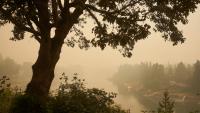 Oregon smoke alert tells Willamette Valley residents to close windows, use air purifiers
