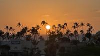 Aruba To Me; Oliver Frank