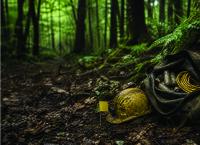 Explosives found in Peak Timbers forest