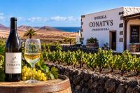 Fuerteventura winery wins Canary Islands Tourism Award for Excellence