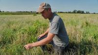 ’I’m in survival mode’: Farmers turn to new crops for earnings in the face of repeated droughts