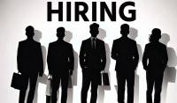White-collar hiring grows 14 pc in August led by auto, healthcare, retail: Report
