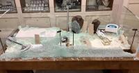 Jewellers remains closed a week on from 'major' break-in as new pictures shared