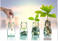 Growth funds explained: Objectives, features, and considerations