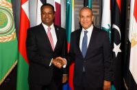 Egypt urges Somalia to accelerate release of 8 Egyptian sailors held off Somali coast