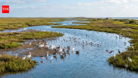 For 70 years, Texas' Bahia Grande was dry; then 2006 brought the tides back to 10,000 acres and wildlife returned in numbers
