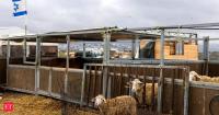 Britain draws a line in the West Bank