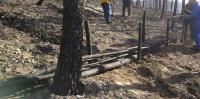 Fire and floods are usually treated as separate hazards. Portugal’s Pinhal Interior shows why they are part of the same cycle