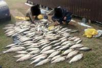 Kyrgyzstan transitions to aquaculture cluster model to boost processed fish exports