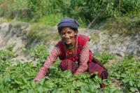 Three Decades of Grassroots Conservation in Mexico and Nepal Prove Local Leadership Delivers Results