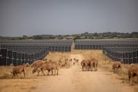 Spain’s renewables experience shows battery storage needed for decarbonization