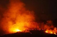 How Wildfire Haze Is Disrupting Life Across Kalimantan: Report