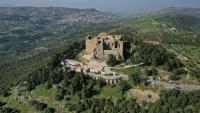 Ajloun’s Bounty: Seasons Converge and Crops Diversify