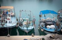 Cypriot small-scall fishers call for reforms, national plan