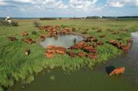 Farmer’s Kraal – Preparing for the rainy season
